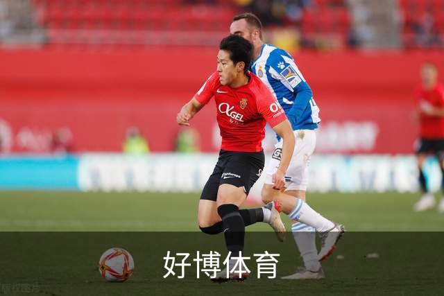 好博体育公司介绍图